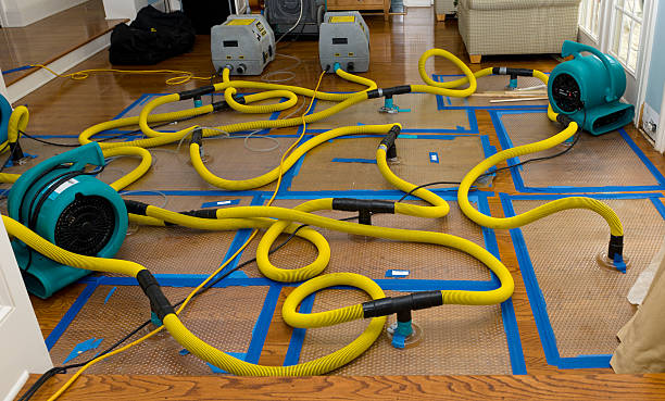 Professional Crawl Space Water Removal technician working in Cable, OH
